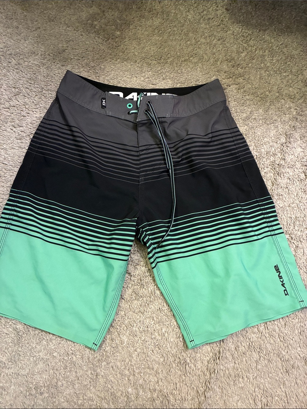 Dakine Mint and Black Striped Board Shorts